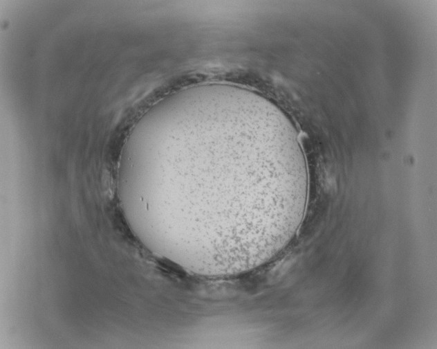 X0000070371253200606301847