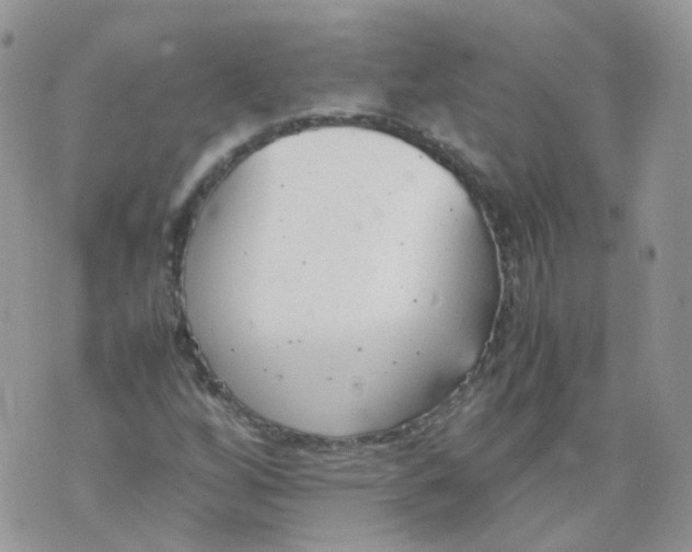 X0000070371256200606301847