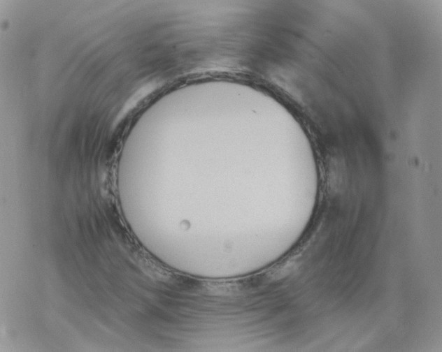 X0000070371258200606301847