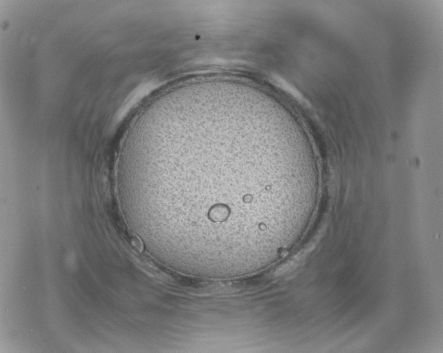 X0000070371259200606301847