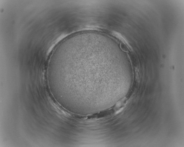 X0000070371260200606301847