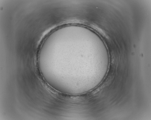 X0000070371264200606301847