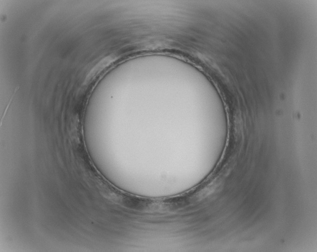 X0000070371265200606301847