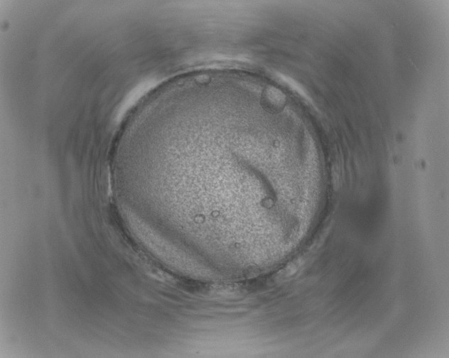 X0000070371267200606301847