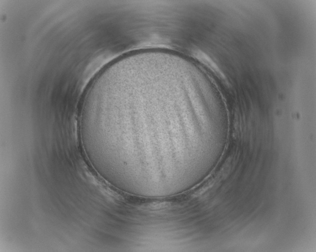 X0000070371268200606301847