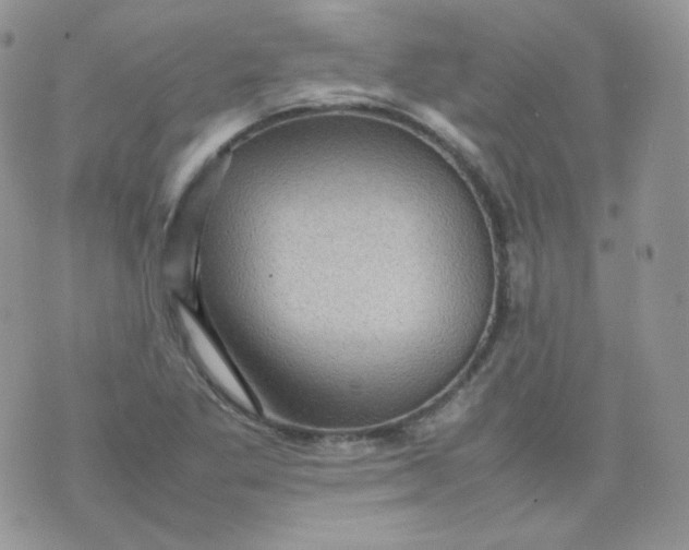 X0000070371269200606301847