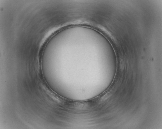 X0000070371270200606301847