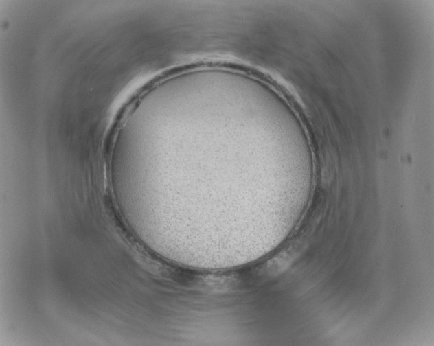 X0000070371271200606301847