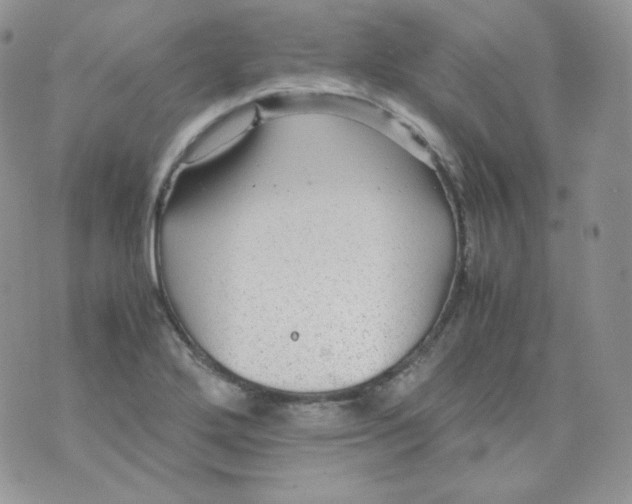 X0000070371272200606301847