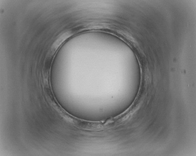 X0000070371273200606301847