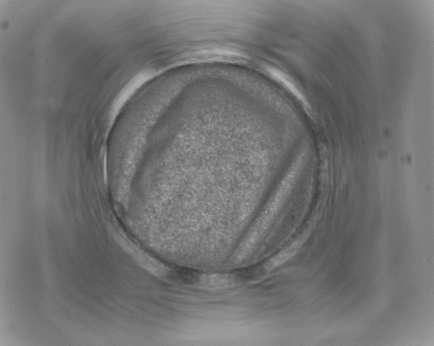 X0000070371275200606301847