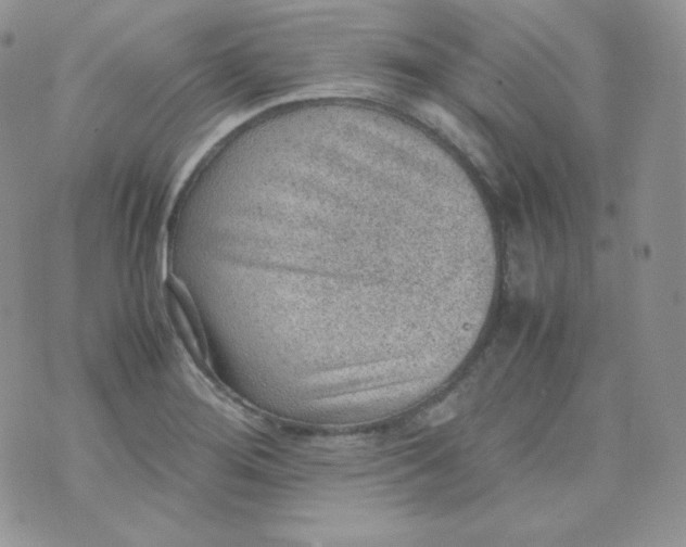 X0000070371276200606301847