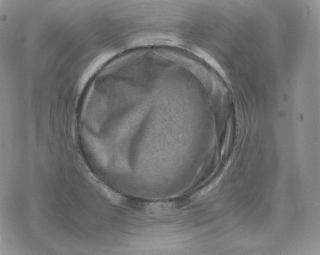 X0000070371277200606301847