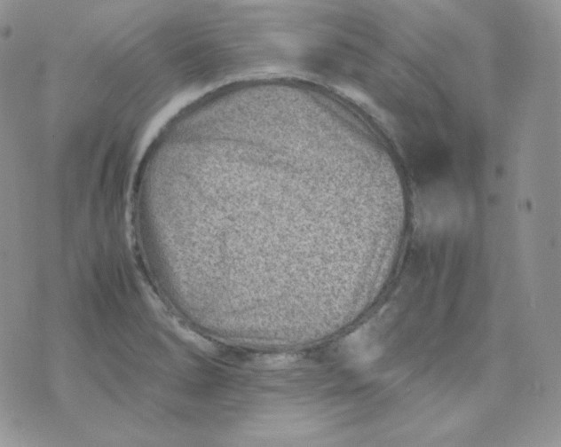 X0000070371278200606301847