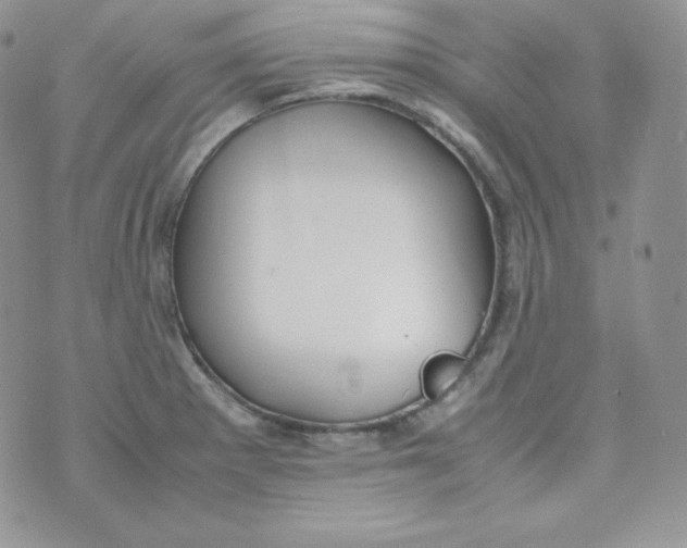 X0000070371281200606301847