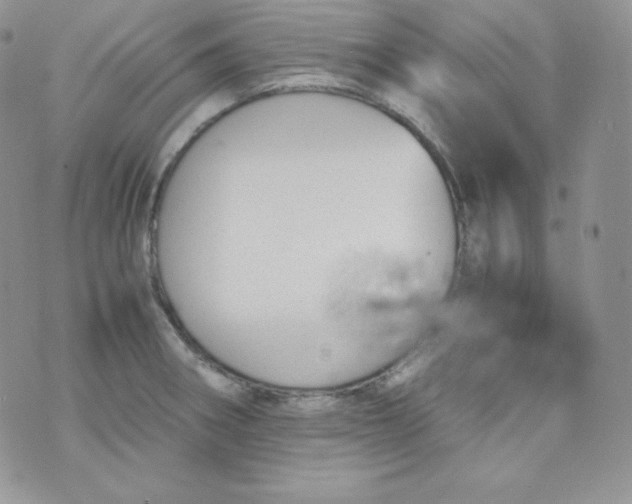 X0000070371282200606301847