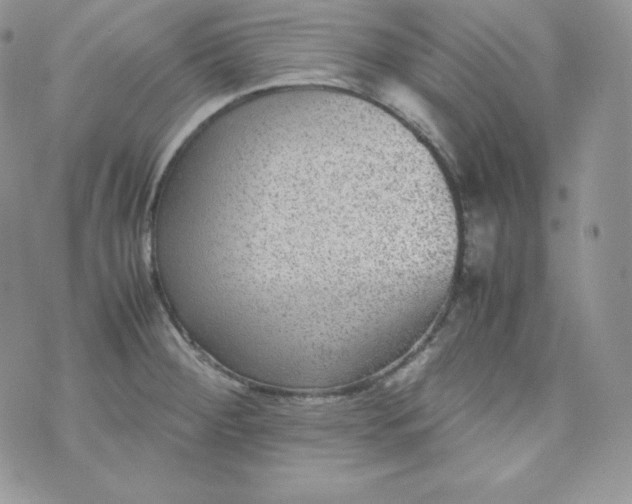 X0000070371284200606301847