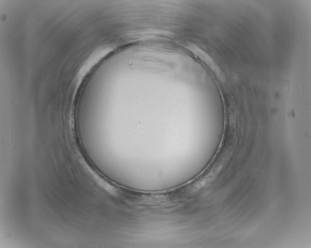 X0000070371285200606301847