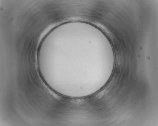 X0000070371286200606301847