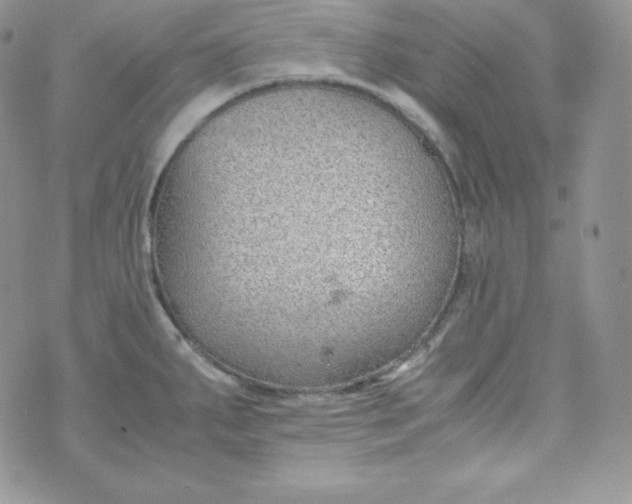 X0000070371287200606301847