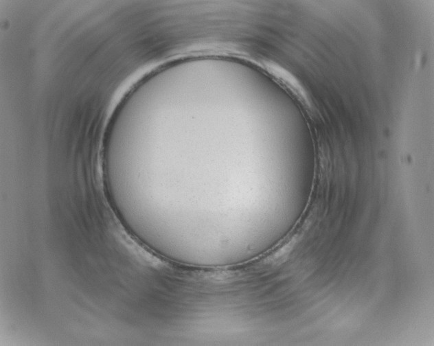 X0000070371288200606301847