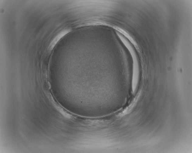 X0000070371289200606301847