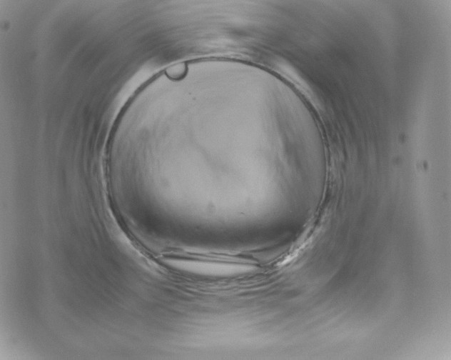 X0000070371291200606301847