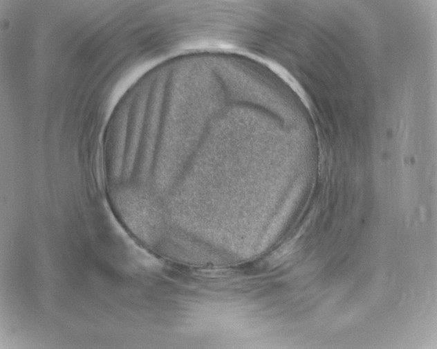 X0000070371295200606301847