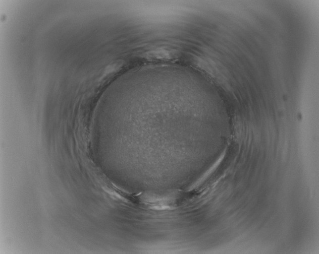 X0000070371297200606301846