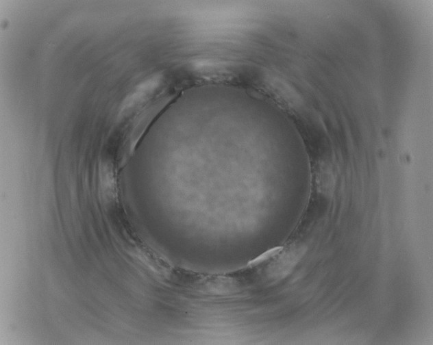 X0000070371298200606301846