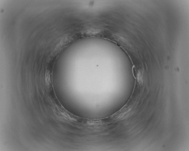 X0000070371299200606301846