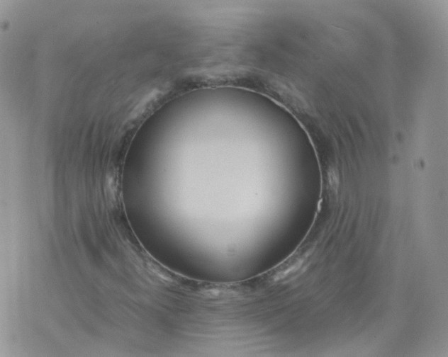 X0000070371300200606301846