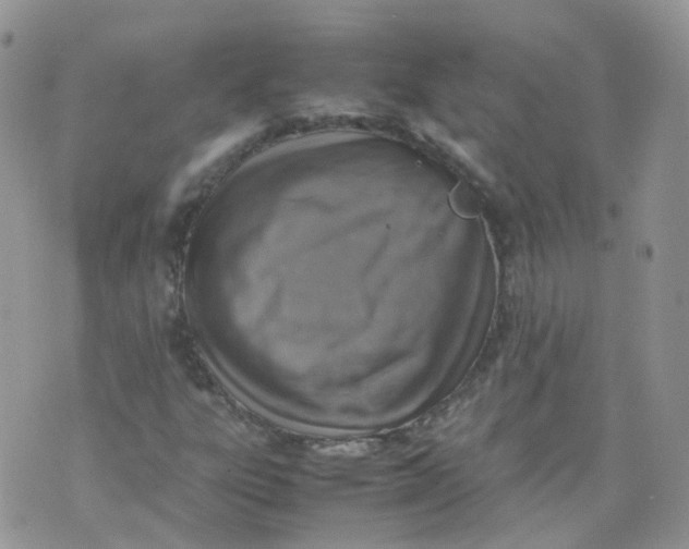 X0000070371303200606301846