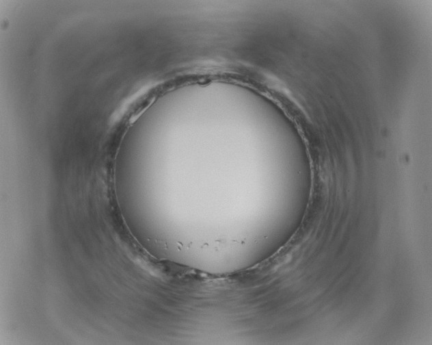 X0000070371304200606301846