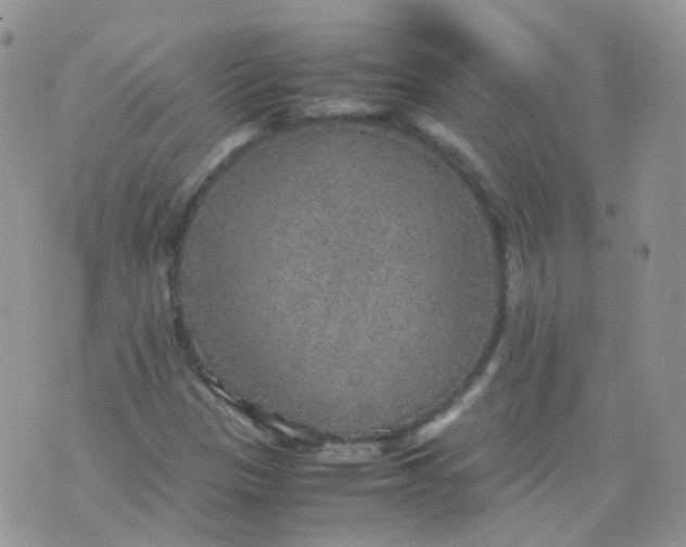 X0000070371305200606301846