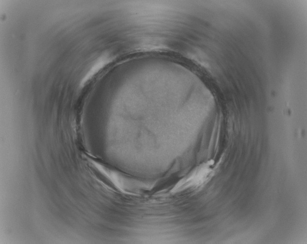 X0000070371306200606301846