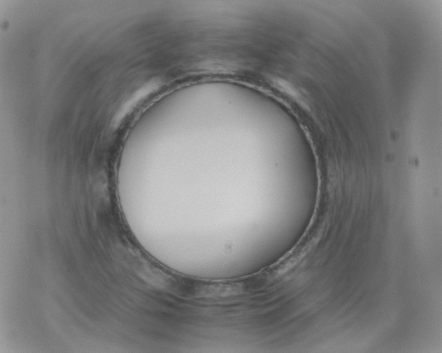 X0000070371307200606301846