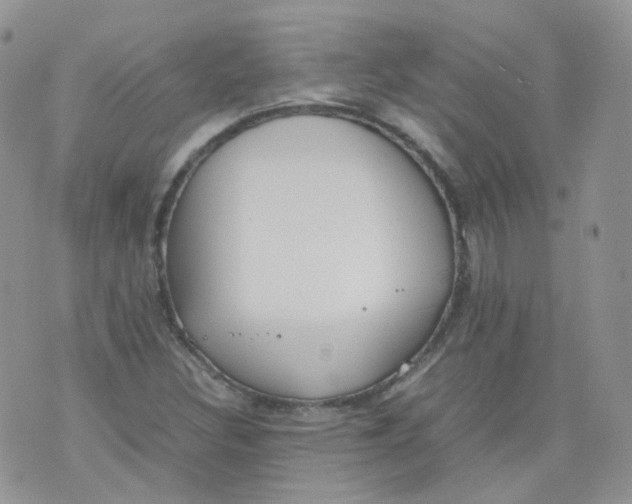 X0000070371308200606301846