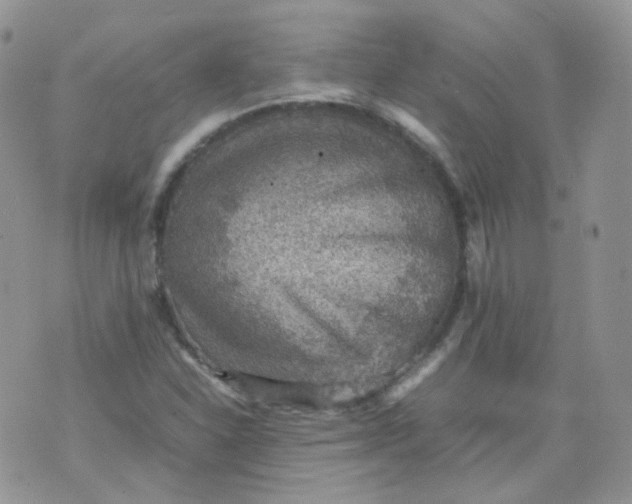 X0000070371310200606301846