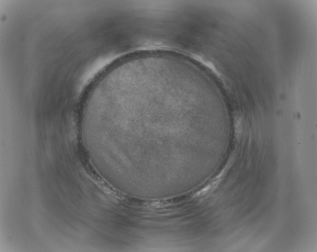 X0000070371311200606301846