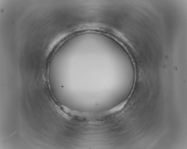 X0000070371312200606301846