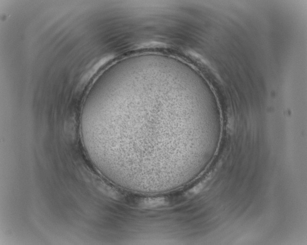 X0000070371313200606301846