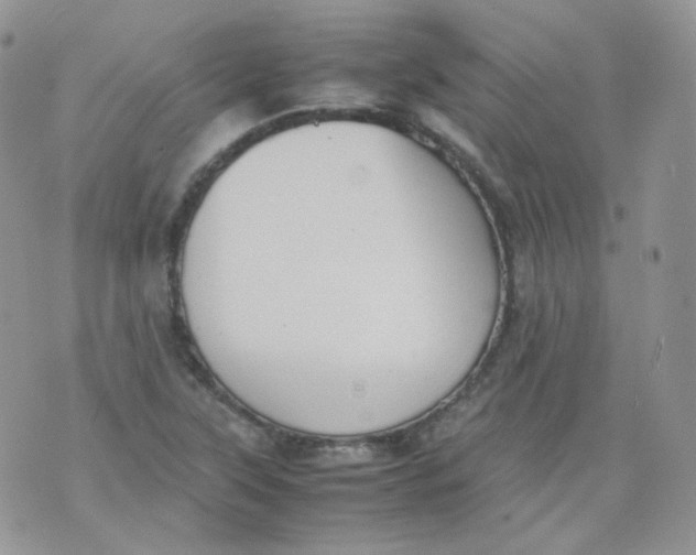 X0000070371315200606301846