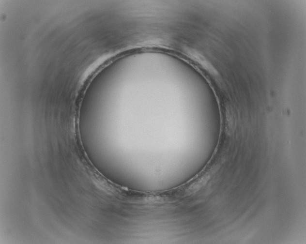 X0000070371316200606301846