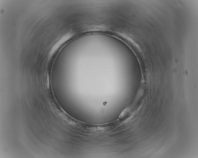 X0000070371317200606301846