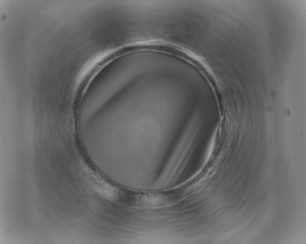 X0000070371319200606301846