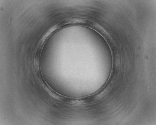 X0000070371321200606301846