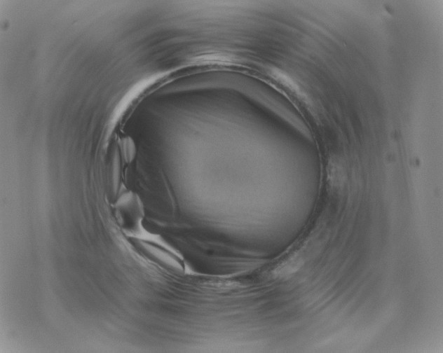 X0000070371323200606301846