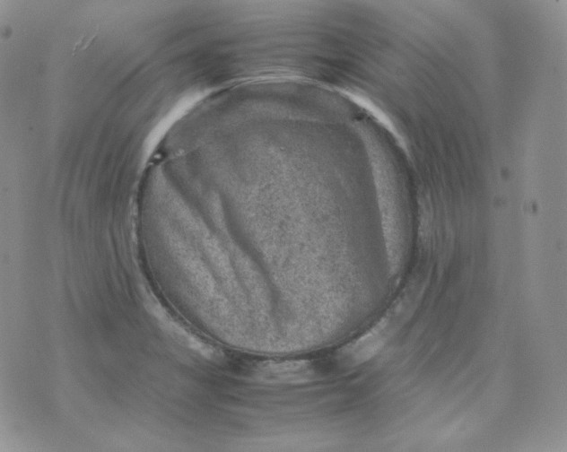 X0000070371325200606301846