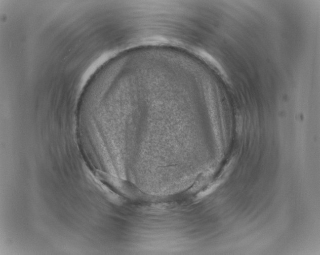 X0000070371326200606301846